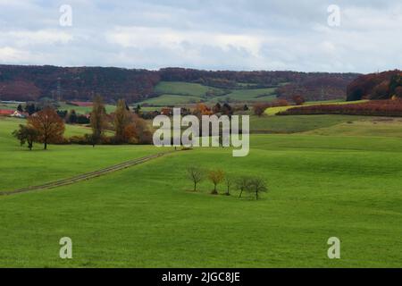 Feldweg, der an einem Herbsttag im ländlichen Deutschland ein Feld mit grünem Gras und bunten Bäumen durchschneidet, Stockfoto