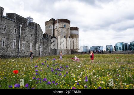 London, Großbritannien. 9.. Juli 2022. Tower of London Superbloom - für das Platinum Jubilee der Königin wurden Wildblumenkerne in den Graben gepflanzt Stockfoto