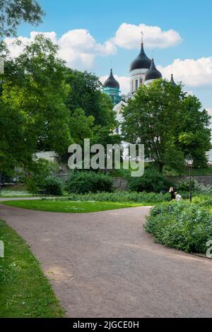 Tallinn, Estland. Juli 2022. Panoramablick Komandandi Garten im Stadtzentrum Stockfoto