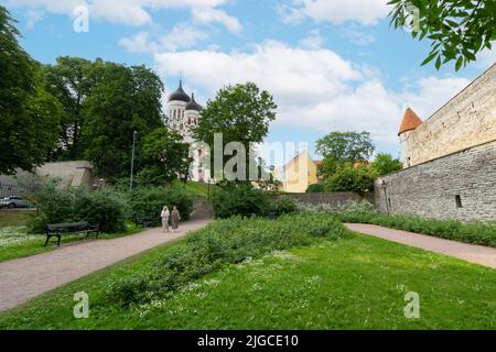 Tallinn, Estland. Juli 2022. Panoramablick Komandandi Garten im Stadtzentrum Stockfoto