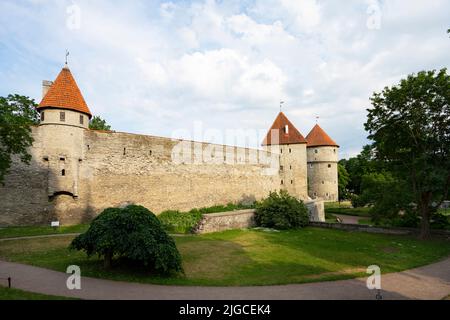 Tallinn, Estland. Juli 2022. Panoramablick auf das Kiek in de Kök Museum und die Bastentunnel im Stadtzentrum Stockfoto