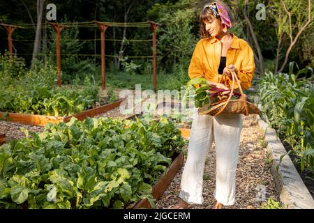 Junger Bauer mit frisch gepflücktem Gemüse im Garten Stockfoto