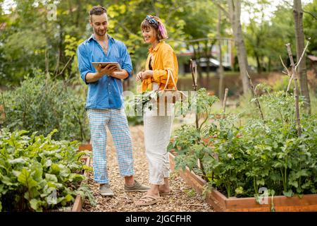 Ein Paar mit einem digitalen Tablet arbeitet im Gemüsegarten Stockfoto