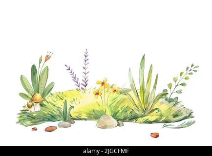 Aquarell Wiese Illustration. Natur Sommerlandschaft Wiese mit grünem Gras, Pflanzen und Blumen, Steinen und Pilzen Stockfoto