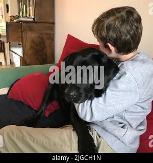 Der süße labrador Retriever Hund, der sich mit seinem Jungen auf einem Sofa umarmt Stockfoto