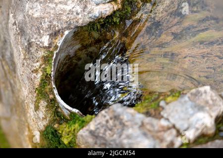 Reines Quellwasser aus einem natürlichen, moosigen Steinbehälter in ein Metallrohr abtropfen lassen. Klare Flüssigkeit, die in den Abfluss fließt. Nahaufnahme. Ökologisches Konzept Stockfoto