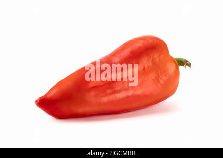 Frische rote Paprika Paprika isoliert auf hellem Hintergrund. Nahaufnahme. Stockfoto