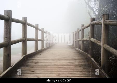 Kurvenreiche Landstraße in den Nebel - Trail, Holzfußbrücke durch dunklen immergrünen Wald im Nebel. Stimmungsvolle Herbstlandschaft. Konzepte von Ghost Stockfoto
