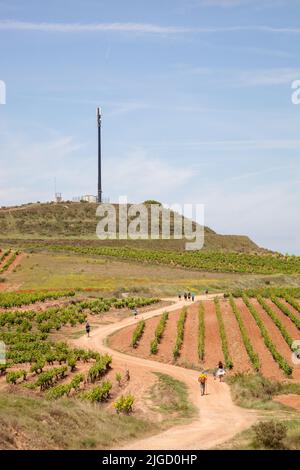 Pilger wandern durch die Weinberge von rja, während sie auf dem Jakobsweg, dem Jakobsweg zwischen Navarrete und Najera Spanien, wandern Stockfoto