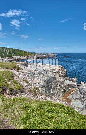 Blick vom Louisbourg Lighthouse Coastal Trail auf die zerklüftete Küste von Cape Breton. Stockfoto