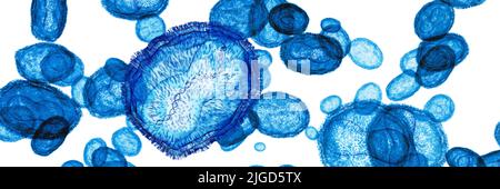 Monkeypox-Virus, Illustration Stockfoto