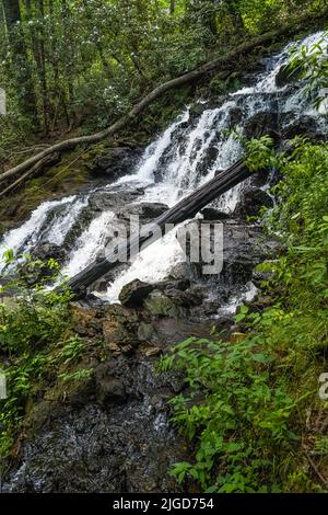 Im Sommer Blick auf die wunderschönen Trahlyta Falls im Vogel State Park in den Blue Ridge Mountains von Georgia. (USA) Stockfoto