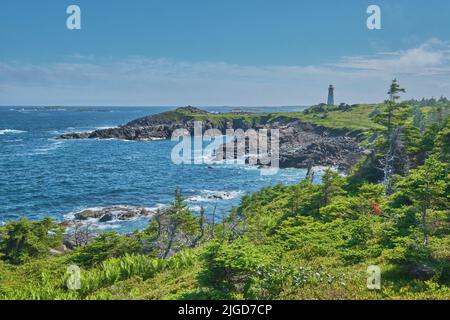 Blick vom Louisbourg Lighthouse Coastal Trail auf Lighthouse Cove. Im Hintergrund ist der Leuchtturm von Louisbourg zu sehen. Stockfoto