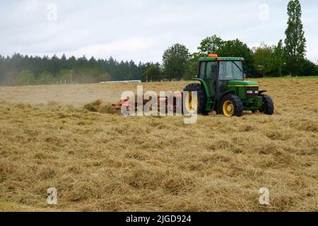 Traktor auf dem Bauernhof mäht Heufeld. Stockfoto