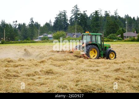 Traktor auf dem Bauernhof mäht Heufeld. Stockfoto