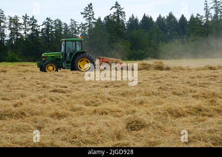 Traktor auf dem Bauernhof mäht Heufeld. Stockfoto