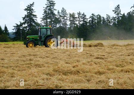 Traktor auf dem Bauernhof mäht Heufeld. Stockfoto