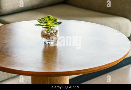 Kleiner runder Glastopf und Pflanze auf dem runden Schreibtisch aus Holz mit verschwommenem Hintergrund des Komfortsofas, minimalistischer Stil. Stockfoto