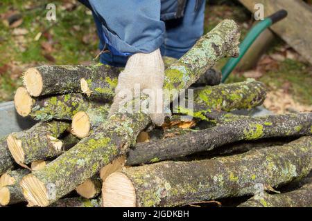 Ein Stapel von runden Brennholz übereinander gestapelt, Konzepte der Ernte von Brennholz für den Winter, kalten Winter, Krise. Stockfoto