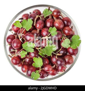 Rote Stachelbeere mit Blättern in Glasschale isoliert auf weißem Hintergrund mit Schneideweg Stockfoto