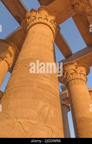 Verschiedene Säulen mit Hieroglyphen im ägyptischen Karnak-Tempel. Vertikal. Stockfoto