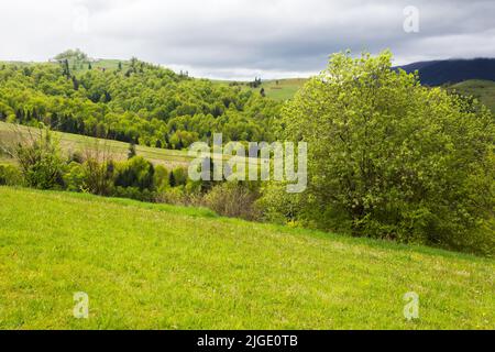 Schöne ländliche Landschaft im Frühling. Landschaft in den karpaten mit frischen grünen Wiesen und Fichtenwald. Bewölktem Himmel über dem entfernten ri Stockfoto