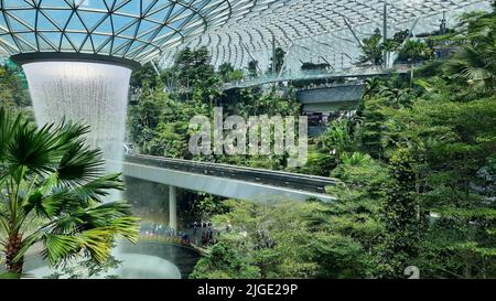 Sky Trains fahren am 26. Januar 2020 über den Dachwasserfall im Jewel-Viertel, Terminal 1, Changi Airport, Singapur Stockfoto