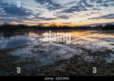 Wasser in der Wiese und Himmel nach Sonnenuntergang, Frühlingsabend Stockfoto