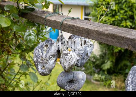 Im Sommer hängen Steine oder Hühnergötter an einem Seil an der frischen Luft Stockfoto