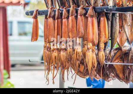 Rauchgetrocknete Calamari oder Tintenfische auf einem Fischmarkt hängen, die in einem Raucher mit Holzschnitzeln geräuchert und fertig zum Essen sind Stockfoto