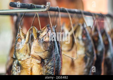Rauchgetrocknete Makrelen auf einem Fischmarkt hängen, die gerade mit Holzschnitzeln in einem Raucher geraucht wurden und bereit zum Essen, vertikal, aus nächster Nähe Stockfoto