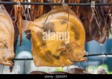 Rauchgetrockneter Steinbutt-Plattfisch auf einem Fischmarkt, der gerade mit Holzschnitzeln in einem Raucher geraucht und fertig zum Essen ist Stockfoto