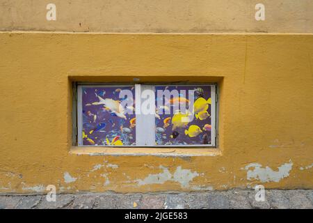 Tallinn, Estland. Juli 2022. Der Fisch wurde auf einem alten Fenster eines Hauses im Stadtzentrum gezeichnet Stockfoto