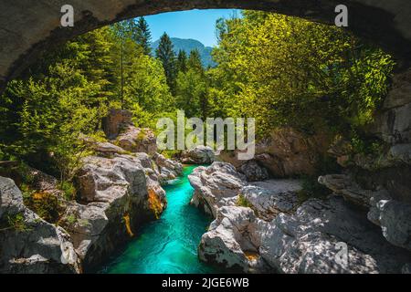 Bewunderungswürdige Naturlandschaft mit türkisfarbenem Fluss. Berühmter Fluss Soca mit felsiger Schlucht im Wald, Bovec, Slowenien, Europa Stockfoto