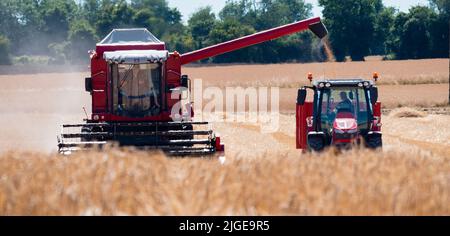 Barley Harvest Great Bardfield Braintree Essex UK Juli 2022. Kombinieren Sie Harvester Ernte Gerste. Gerste wird entweder zur Malzherstellung oder als Tierfutter angebaut. Malz wird als Top-Make-Bier oder Whisky oder in Bäckereien verwendet.Copyright William Edwards Stockfoto