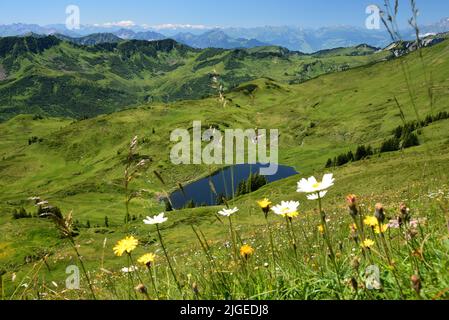 Blick auf den Sünser See in den Damülser Bergen im Bregenzerwald, mit den Schweizer Alpen im Hintergrund, Vorarlberg, Österreich Europa Stockfoto