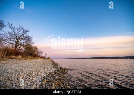 Wunderschöner Sonnenuntergang mit Blick auf den See Constane und ruhige Uferpromenade mit Pflanzen und Schwanen. Baden Württemberg, Deutschland, Europa. Stockfoto