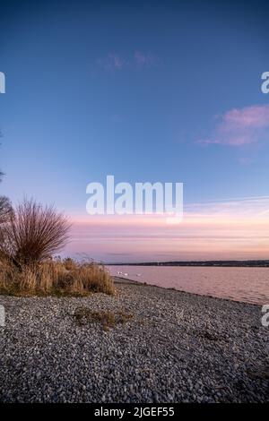 Wunderschöner Sonnenuntergang mit Blick auf den See Constane und ruhige Uferpromenade mit Pflanzen und Schwanen. Baden Württemberg, Deutschland, Europa. Stockfoto