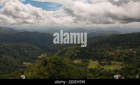 Luftaufnahme von grünem Wald und Dschungel an den Hängen der Berge von Sri Lanka. Stockfoto