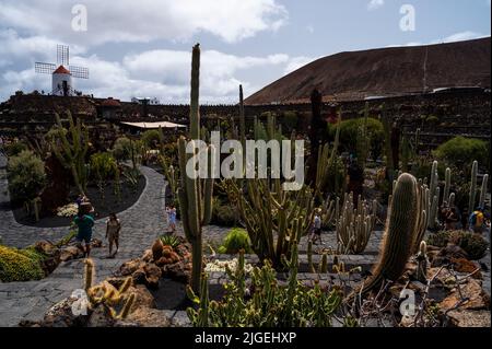 Touristen besuchen den Kaktusgarten auf der Vulkaninsel Lanzarote. Der Kaktusgarten beherbergt rund 4.500 Exemplare von 450 verschiedenen Arten grou Stockfoto