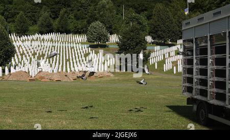 Im Rahmen des Gedenkens an den 27.. Jahrestag des Völkermordes, der im Juli 1995 in Srebrenica begann, wurden am 10 2022. Juli auf dem Friedhof des Srebrenica Memorial Center - Potocari Friedenstauben in Potocari, Bosnien und Herzegowina, in die Luft entlassen. Foto: Armin Durgut/PIXSELL Stockfoto