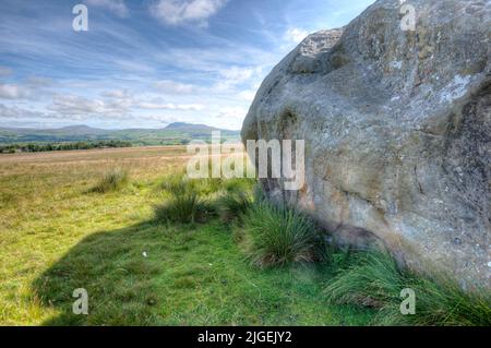 Der große Stein der Fourstones, der 'große Stein', wie er vor Ort bekannt ist, ein 18' (ca.) eisiger erratischer Ort bei Tatham Fells in der Nähe von Lowgill, Bentham. Stockfoto