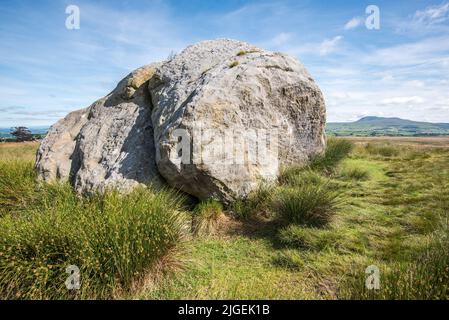 Der große Stein der Fourstones, der 'große Stein', wie er vor Ort bekannt ist, ein 18' (ca.) eisiger erratischer Ort bei Tatham Fells in der Nähe von Lowgill, Bentham. Stockfoto