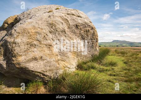 Der große Stein der Fourstones, der 'große Stein', wie er vor Ort bekannt ist, ein 18' (ca.) eisiger erratischer Ort bei Tatham Fells in der Nähe von Lowgill, Bentham. Stockfoto