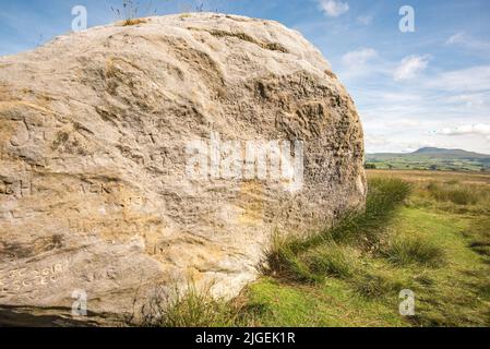 Der große Stein der Fourstones, der 'große Stein', wie er vor Ort bekannt ist, ein 18' (ca.) eisiger erratischer Ort bei Tatham Fells in der Nähe von Lowgill, Bentham. Stockfoto