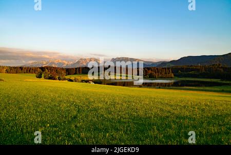 Wanderweg mit Blick auf den landschaftlich schönen Attlesee im bayerischen Allps, Nesselwang, Allgäu oder Allgau, Deutschland Stockfoto