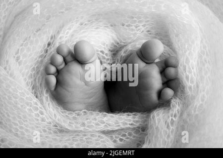 Weiche Füße eines Neugeborenen in einem Scheusal. Nahaufnahme der Zehen, Fersen und Füße des Babys. Schwarzweiß-Makrofotografie im Studio Stockfoto