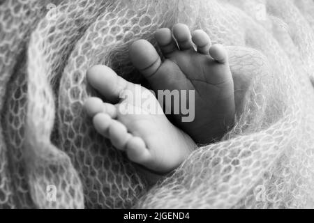 Weiche Füße eines Neugeborenen in einem Scheusal. Nahaufnahme der Zehen, Fersen und Füße des Babys. Schwarzweiß-Makrofotografie im Studio Stockfoto