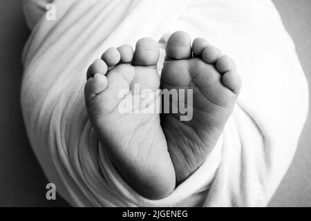 Weiche Füße eines Neugeborenen in einem Scheusal. Nahaufnahme der Zehen, Fersen und Füße des Babys. Schwarzweiß-Makrofotografie im Studio Stockfoto