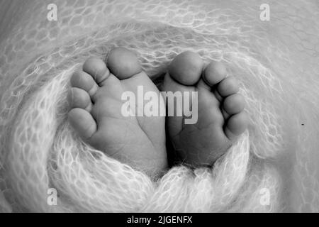 Weiche Füße eines Neugeborenen in einem Scheusal. Nahaufnahme der Zehen, Fersen und Füße des Babys. Schwarzweiß-Makrofotografie im Studio Stockfoto